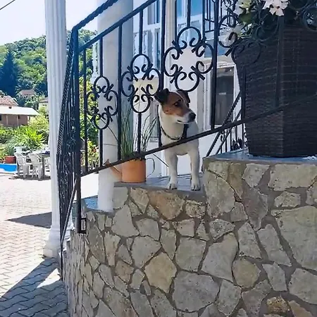 Apartamento Delux Apartmans *